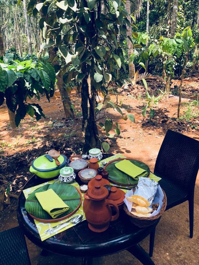 Kerala Wild Stay Kanthalloor Buitenkant foto